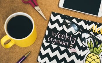 How to Organize Your Day for Maximum Results