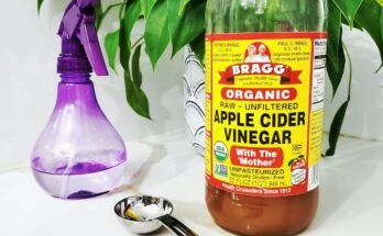 Apple Cider Vinegar for Weight Loss: Real Results or Just Hype? Apple Cider Vinegar for Weight Loss: Real Results or Just Hype?