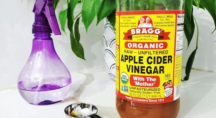 Apple Cider Vinegar for Weight Loss: Real Results or Just Hype?