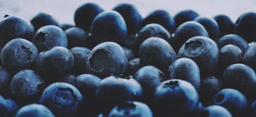 7 Foods That Enhance Your Brain Function and Memory 7 Foods That Enhance Your Brain Function and Memory