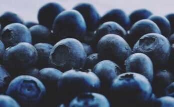 7 Foods That Enhance Your Brain Function and Memory 7 Foods That Enhance Your Brain Function and Memory