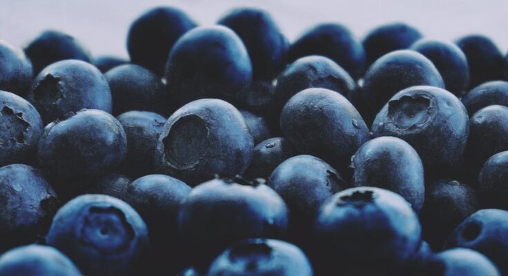 7 Foods That Enhance Your Brain Function and Memory